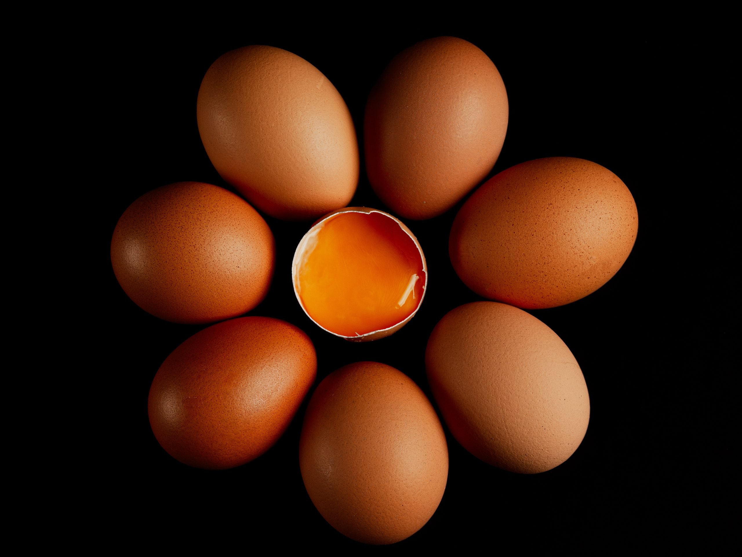Laidunkanatkuva4